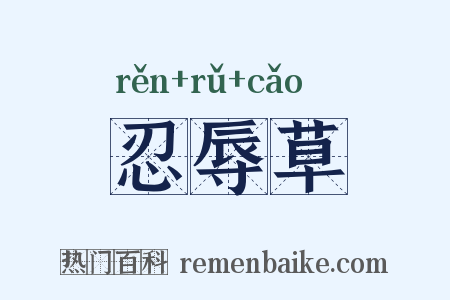 忍辱草是什么意思的图片